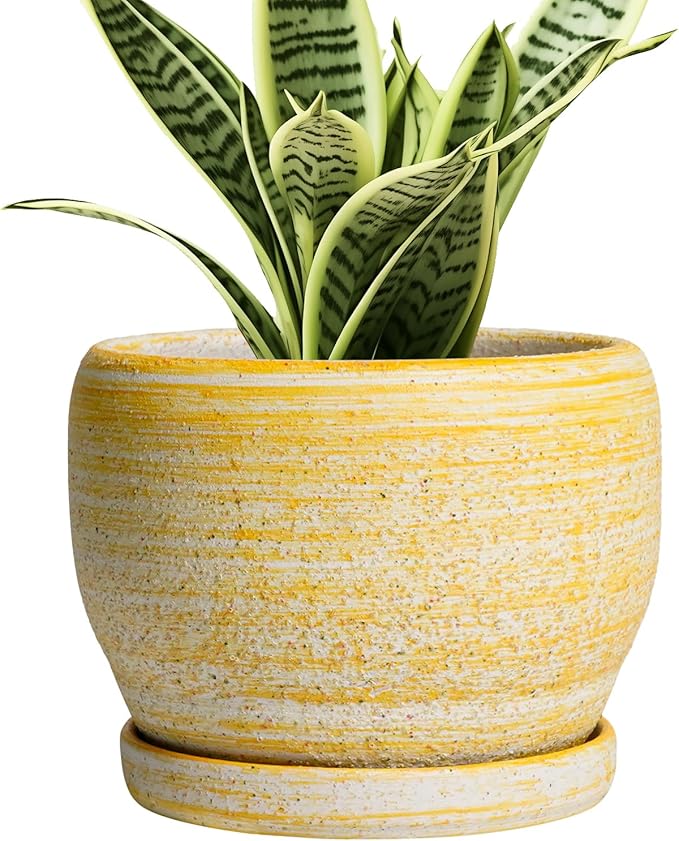 SQOWL Ceramic Planter by SQOWL