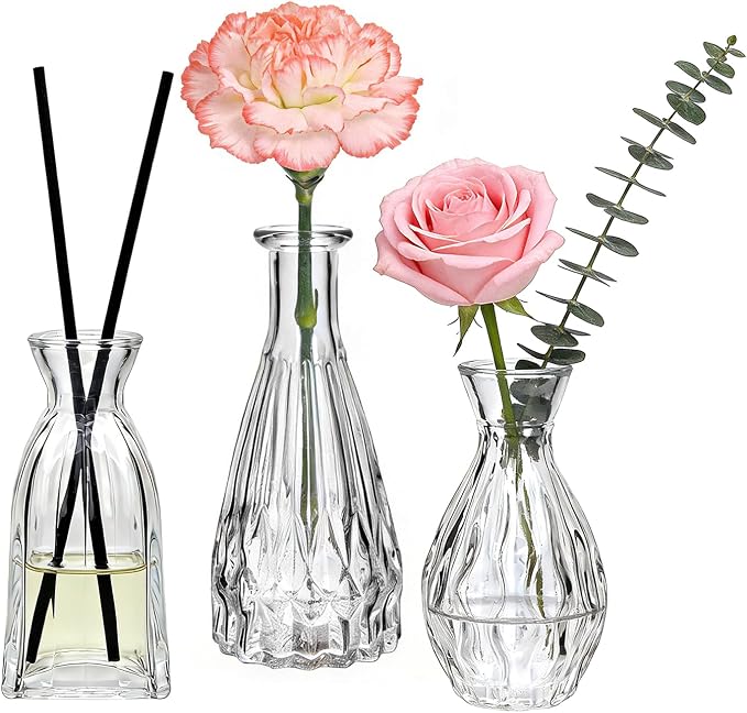Glass Bud Vases in Bulk, Small Vases by Brajttt