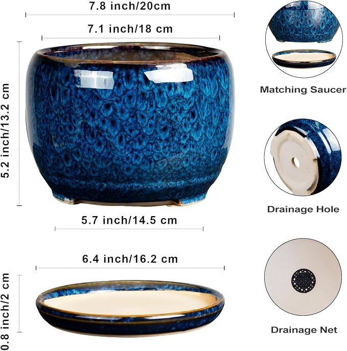SQOWL Ceramic Planter 8 Inch - Image 3