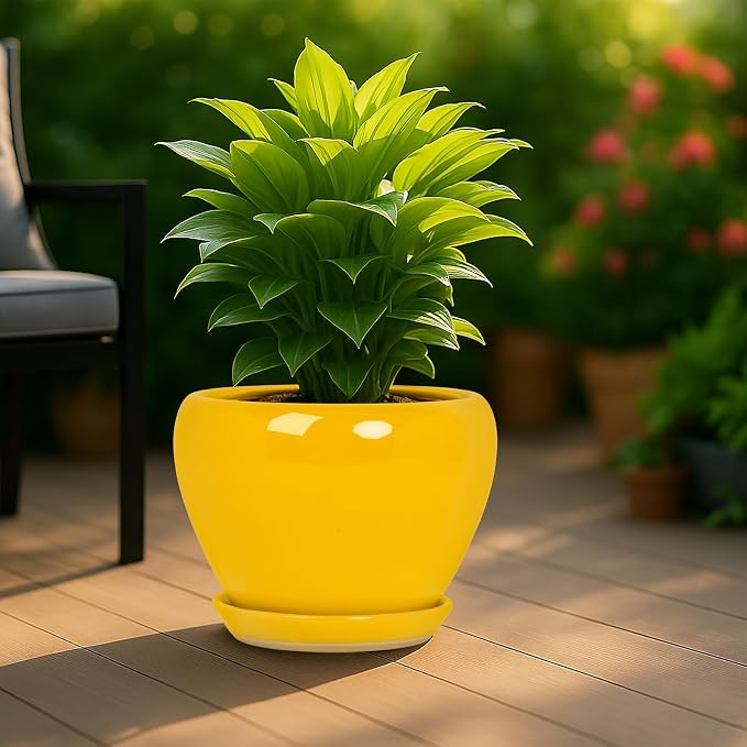 Deep Dream 10 Inch Plant Pot- Ceramic Planter Pot Round Plant Pots - Image 3