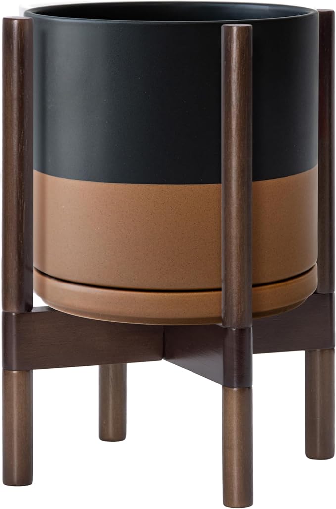 D'vine Dev Ceramic Pot with Walnut Wood Stand, 10 in, 55-B-X-7 | Mid-Century - Image 7
