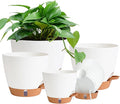Self Watering Pots for Inoor Ourdoor Plants 8/7/6.5/6/5" Plastic Planters | by Fielda
