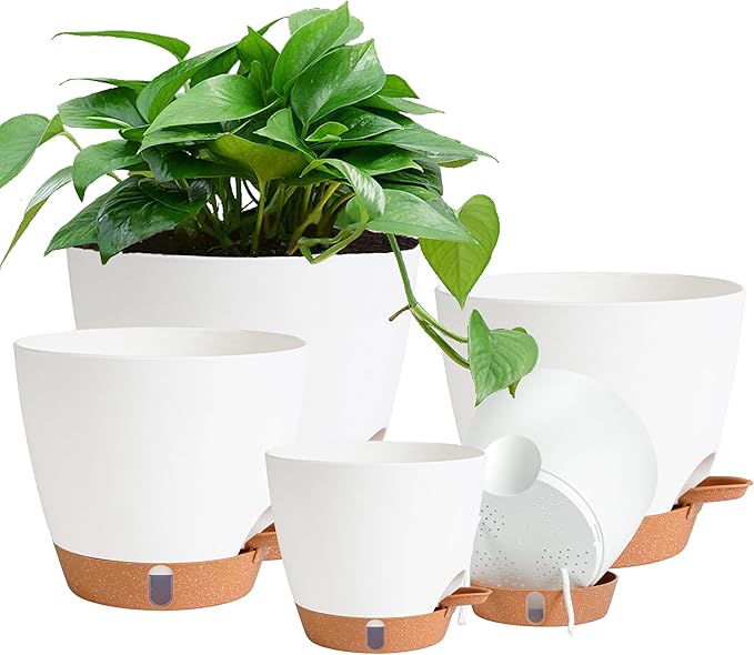 Self Watering Pots for Inoor Ourdoor Plants 8/7/6.5/6/5" Plastic Planters | by Fielda