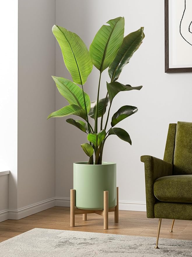 LE TAUCI 12 Inch Pot for Plants, Ceramic Planters for Indoor Plants, - Image 2