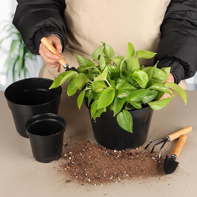 RooTrimmer 4/6/8 Inch Black Plant Nursery Pots, 15 Pack, Thickened Plastic - Image 2