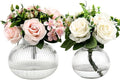 Round Glass Vases Set of 2, Flower Vases by YANWE