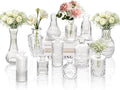 Clear Glass Bud Vase Set of 12 Pcs, Small Bud Vases in Bulk, Glass Crystal by JXINDUJU