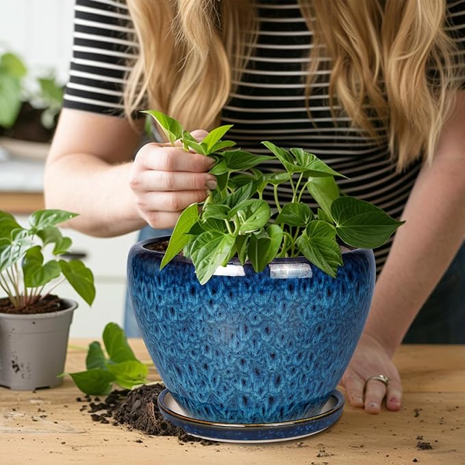 Ceramicfor 10 Inch Ceramic Planter Pot, Ceramic Plant Pot - Image 6