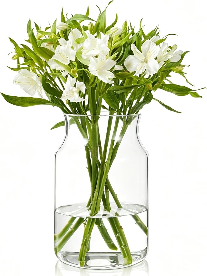 Clear Glass Vase, Large Flower Vase, 9-inch Glass Flower Vase by BWODYAY