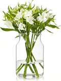 Clear Glass Vase, Large Flower Vase, 9-inch Glass Flower Vase by BWODYAY