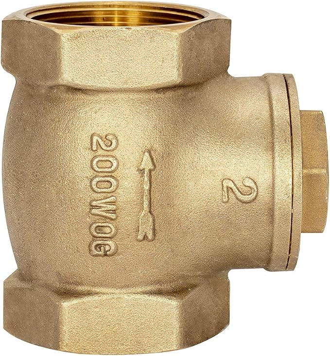 Eastman Brass Swing Check Valve, 2 Inch IPS, Brass Plumbing Fitting - Image 3