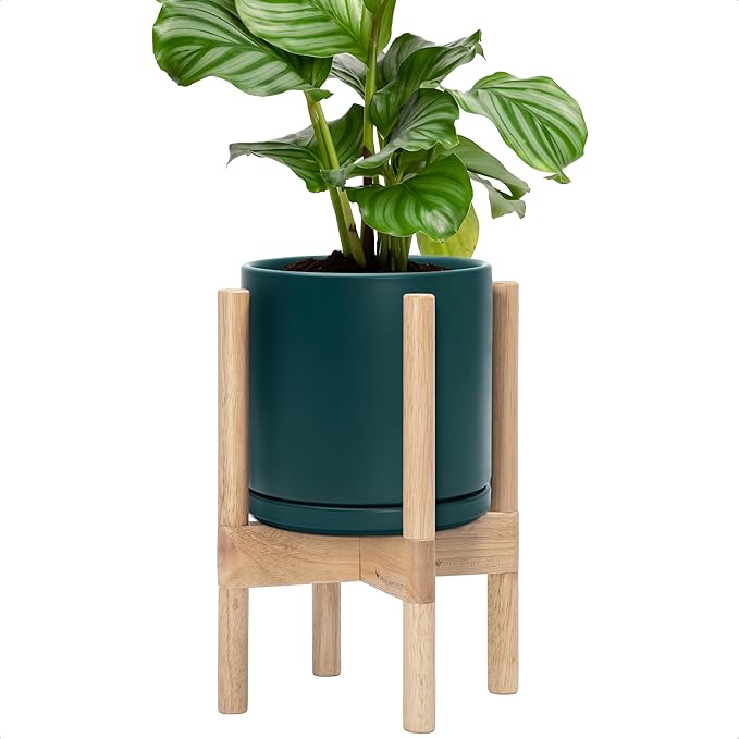 D'vine Dev Ceramic Pot with Natural Wood Stand, 8 in, 55-B-N-4 | Mid-Century by DvineDevPlanterPotsandStand