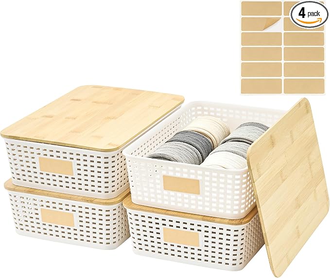 4 Pack Plastic Storage Bins by Bagnizer