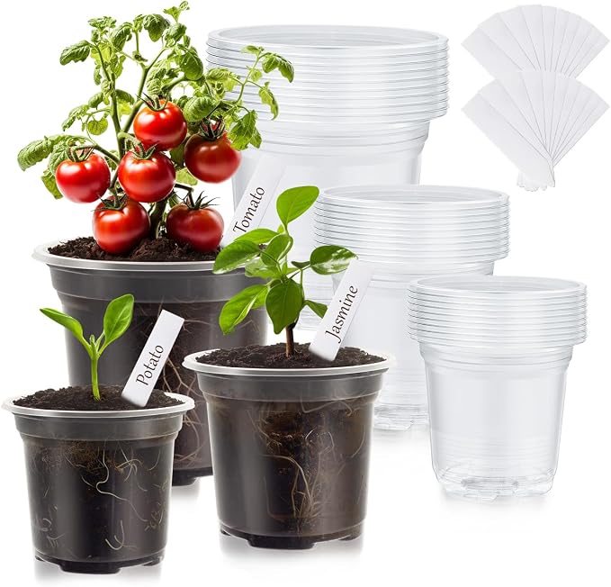 30 Pack Clear Nursery Plant Pots, 3.5/4/5 In by WandaQueen