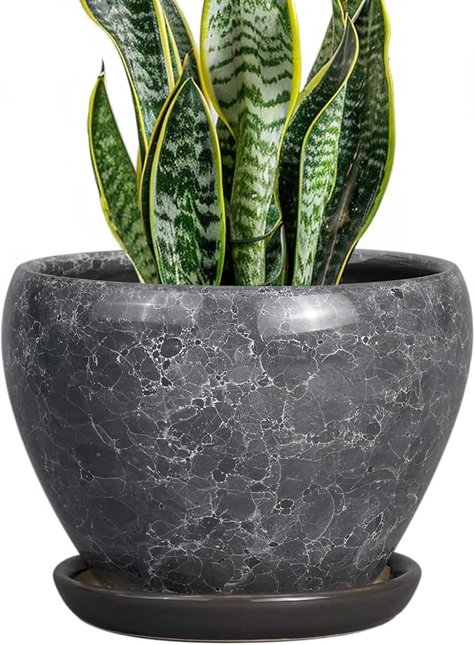 Ceramicfor 8 Inch Plant Pot by Ceramicfor
