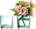 Square Green Glass Vases Set of 2, Flower Vases by MARTAGE