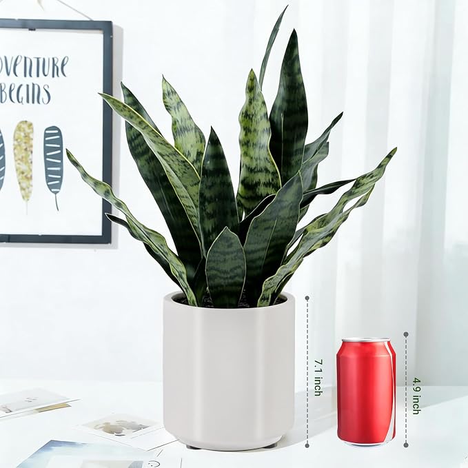 Fake Snake Plant 22" Tall, Realistic Touch Leaves, Potted Artificial Plants - Image 6