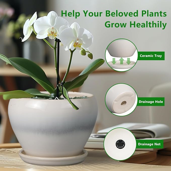 Ceramicfor Planter Pot 6 Inch - Image 5