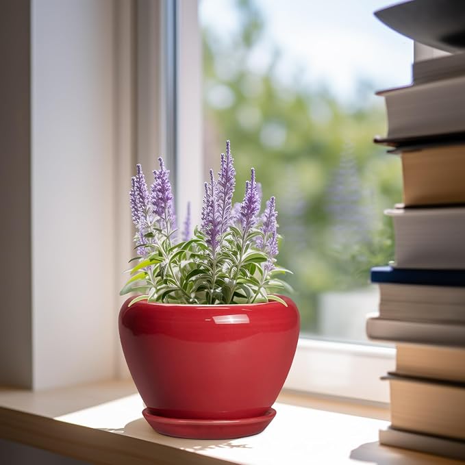 Ceramicfor 6 Inch Plant Pot - Image 2