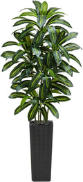Artificial Dracaena Tree: 7FT Fake Plants Silk Faux Trees（Black Pot） | by TNGGNT