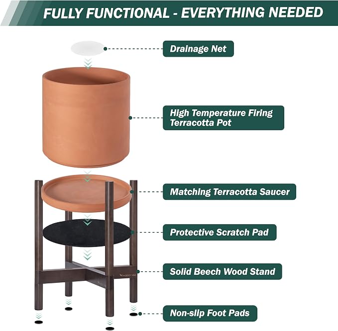 D'vine Dev Terracotta Pot with Walnut Wood Stand, 12 in, 55-B-W-5 | Mid-Century - Image 5