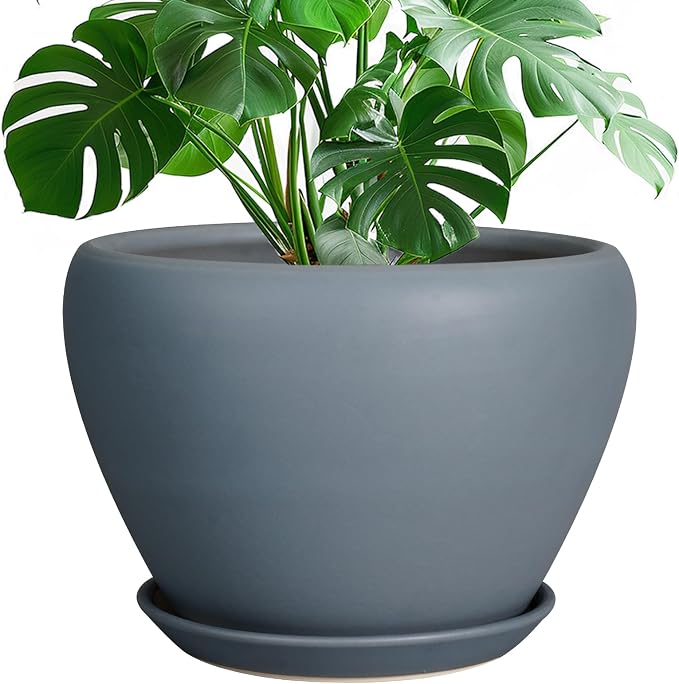 Ceramicfor 10 Inch Plant Pot, Ceramic Planter, Matte Gray | Planter by Ceramicfor