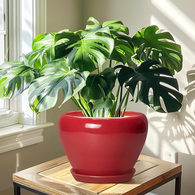 Ceramicfor 10 Inch Plant Pot, Ceramic Planter - Image 6