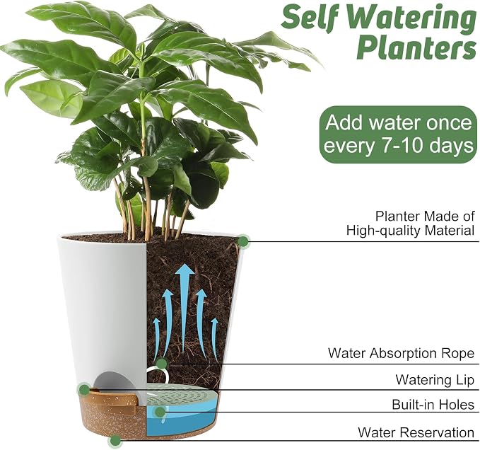 YNNICO 8-Inch Plant Pots, Self-Watering Planters - Image 5