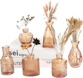 Petal Petite Small Amber Glass Bud Vase Set of 6 by Unknown