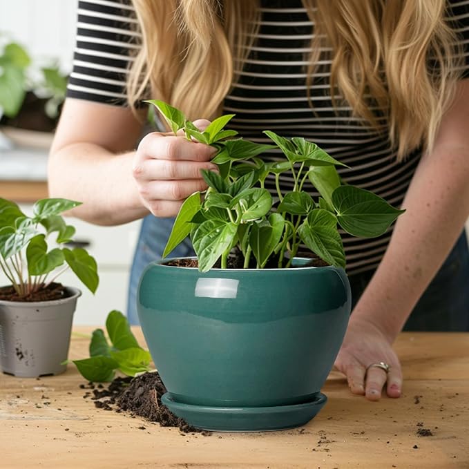 Ceramicfor Indoor Plant Pot 6 Inch - Image 6