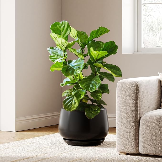LE TAUCI Ceramic Planters, 12 Inch Pots by LETAUCI