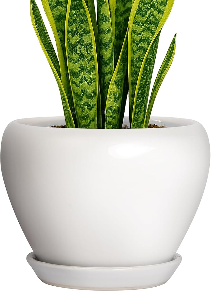 Deep Dream 8 Inch Plant Pot by DeepDream