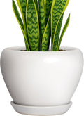 Deep Dream 8 Inch Plant Pot by DeepDream