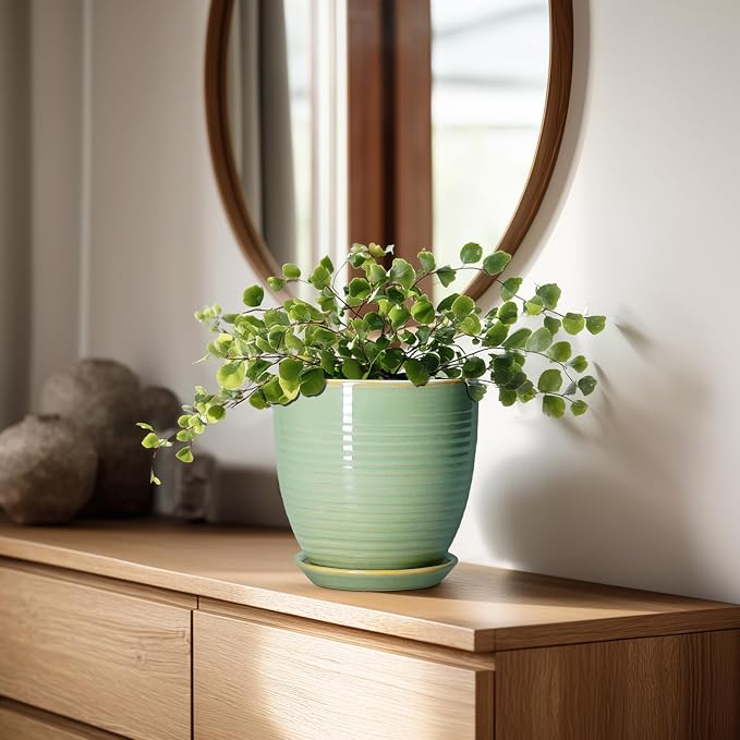 Ceramic Plant Pots - Image 3