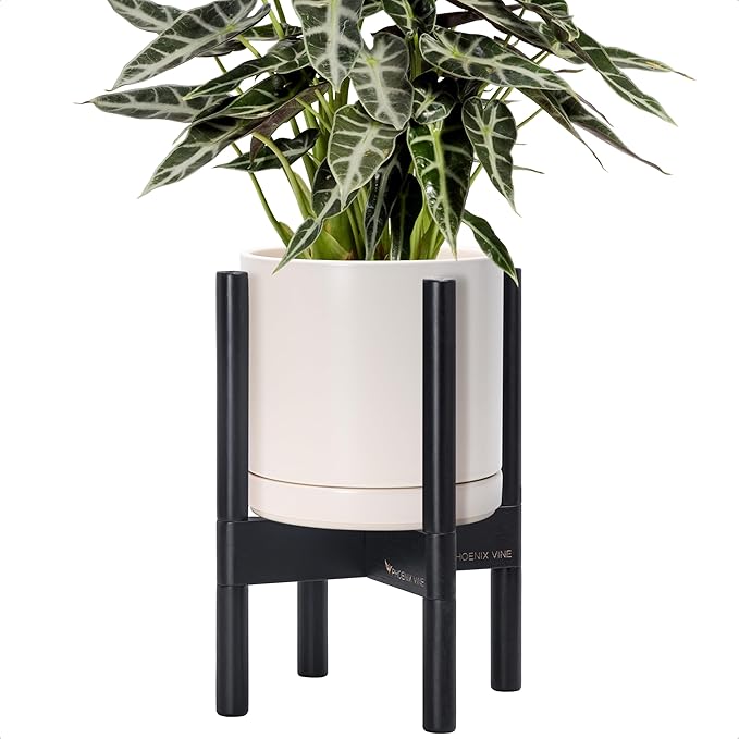 D'vine Dev Ceramic Pot with Ebony Wood Stand, 8 in, 55-B-M-8 | Mid-Century by DvineDevPlanterPotsandStand