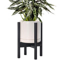 D'vine Dev Ceramic Pot with Ebony Wood Stand, 8 in, 55-B-M-8 | Mid-Century by DvineDevPlanterPotsandStand