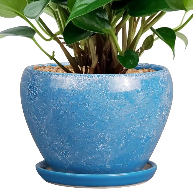 Ceramicfor 6 Inch Plant Pot by Ceramicfor