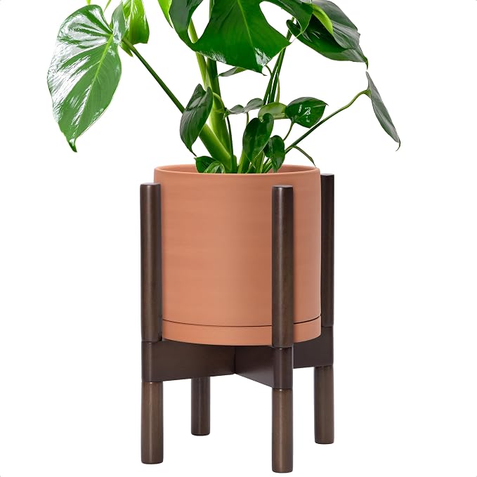 D'vine Dev Terracotta Pot with Walnut Wood Stand, 8 in, 55-B-Y-5 | Mid-Century by DvineDevPlanterPotsandStand