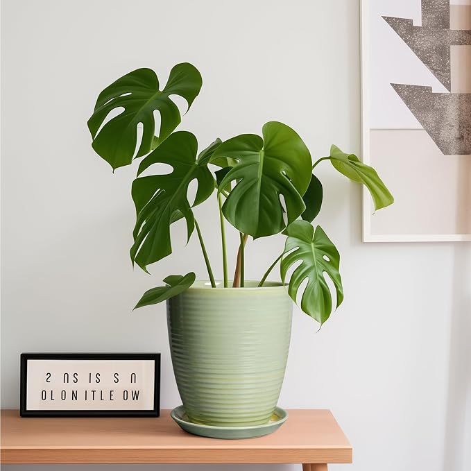 Ceramic Pots for Plants - Image 2