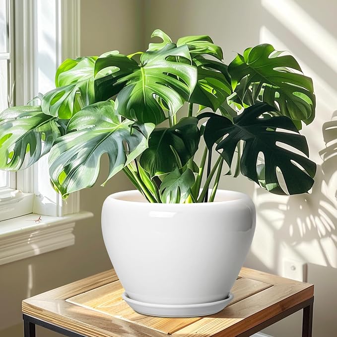 Ceramicfor Ceramic Pot for Plants - Image 6