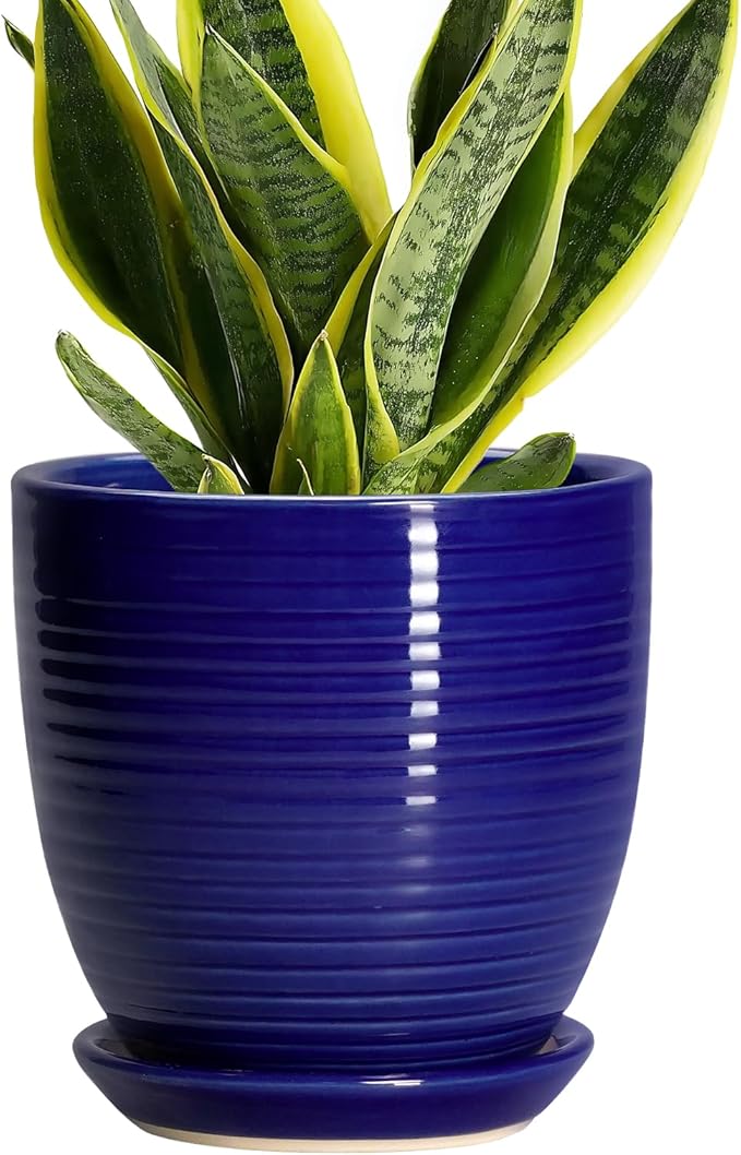 Ceramic Plant Pot by EPFamily