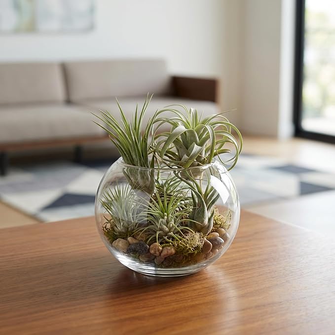 WGV Bowl Glass Vase, Diameter 5.1", Height 3.75", Open Width 3", 12 Pieces - Image 7