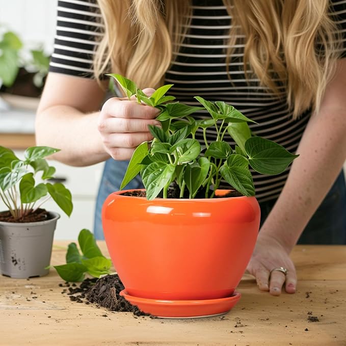 Ceramicfor Ceramic Plant Pot 6 Inch - Image 6