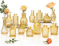 Clear Topaz Glass Bud Vase Set of 14 Pcs, Small Bud Vases in Bulk, Glass by JXINDUJU