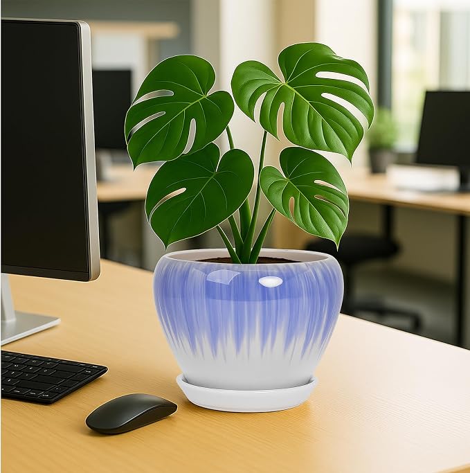 Deep Dream 8 Inch Plant Pots- Ceramic Pots - Image 4