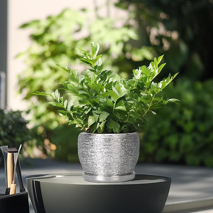 SQOWL Ceramic Plant Pots - Image 4
