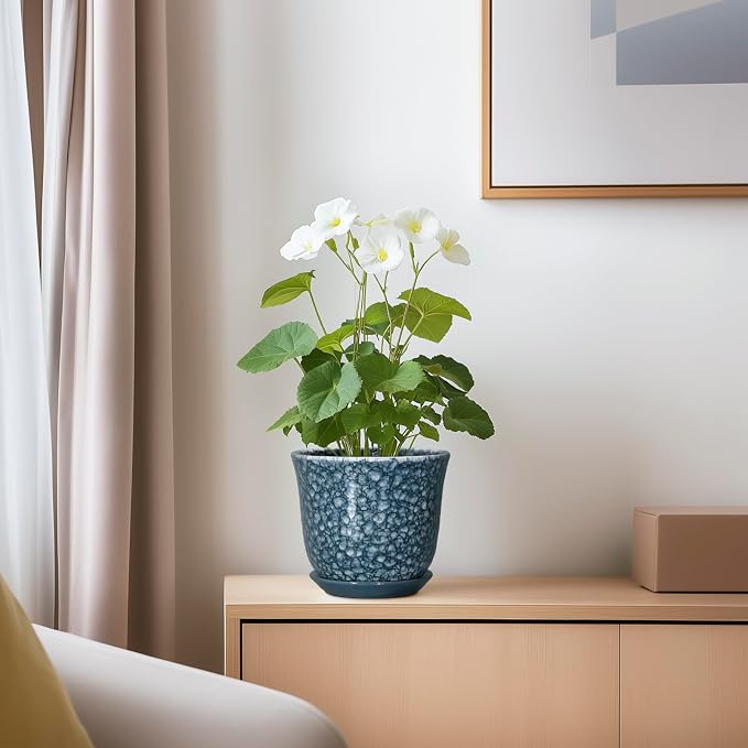 Ceramic Pots for Plants - Image 6