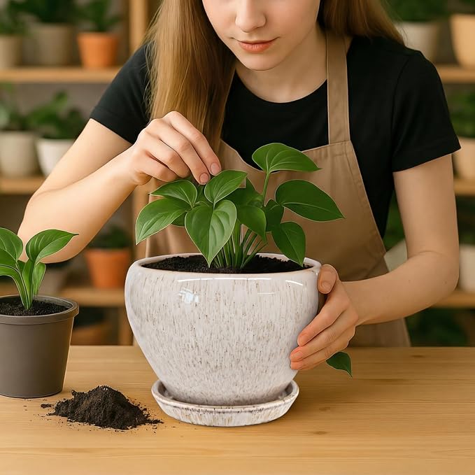 Deep Dream 8 Inch Plant Pots- Ceramic Pots - Image 5