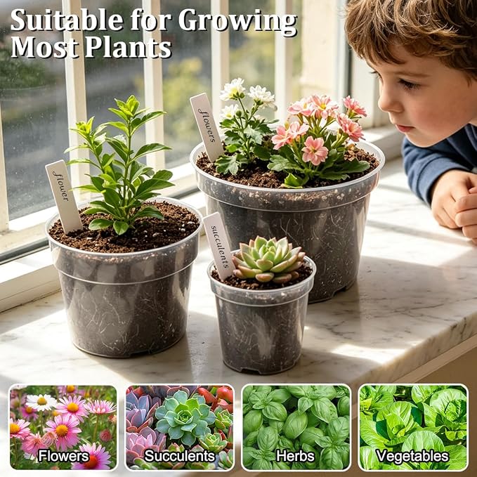 RooTrimmer 15 Pack 8/6/4 Inch Clear Nursery Pots - Image 6