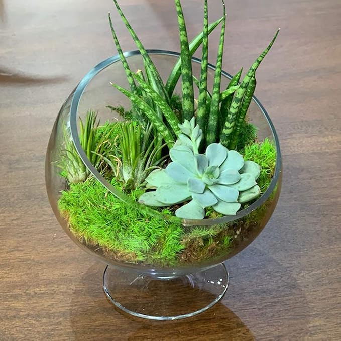 WGV Slant Cut Bowl Glass Vase - Image 4